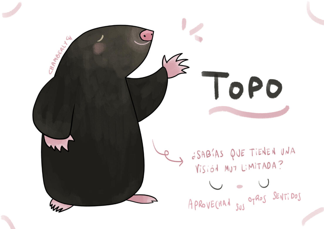 Chamberly_ Topo Ficha