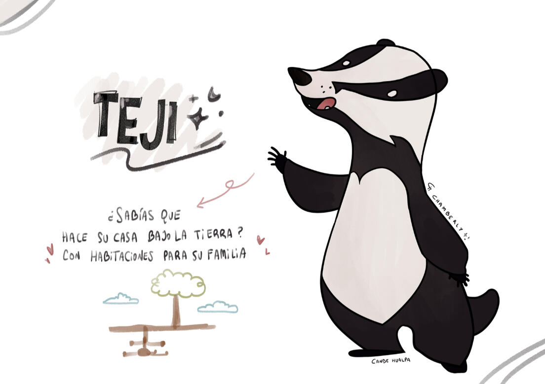 Chamberly_ Teji ficha