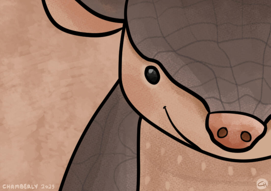 Chamberly_ Armadillo