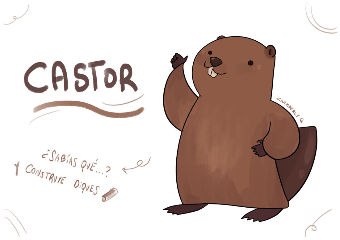 Chamberly_ Castor Ficha